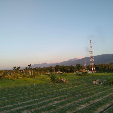 Villa Bintang Lovina Esterno foto