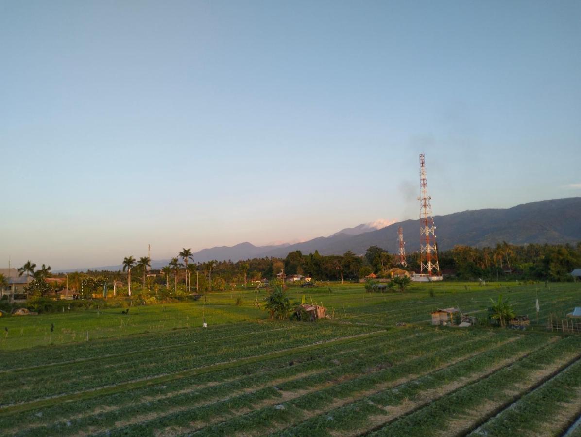 Villa Bintang Lovina Esterno foto